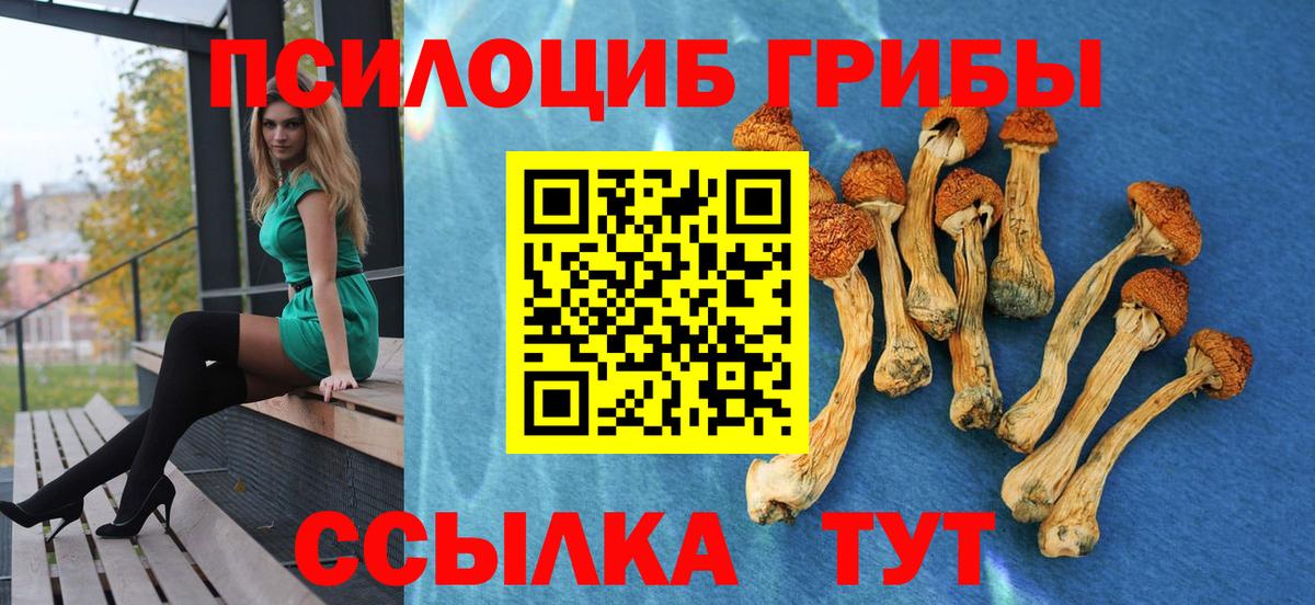 Галлюциногенные грибы Psilocybine cubensis  Вход с VPN  Кашира 