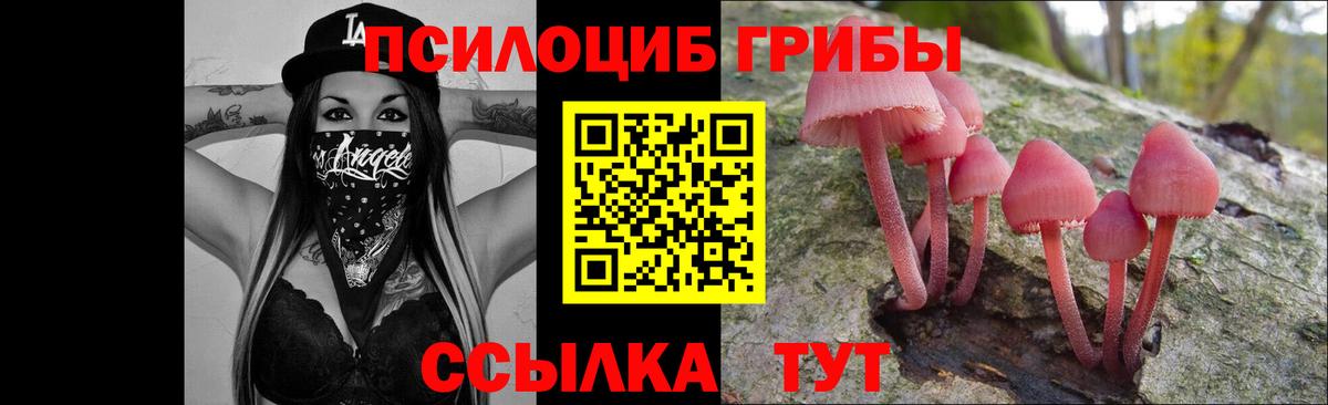 A-PVP СК кристаллы  Cocaine  МАРИХУАНА  Вход с VPN  НБОМе  ГЕРОИН  Кашира  ГАШИШ  ГАШИШ  Меф   LSD-25 